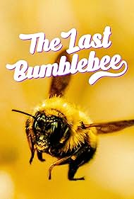 تریلر The Last Bumblebee